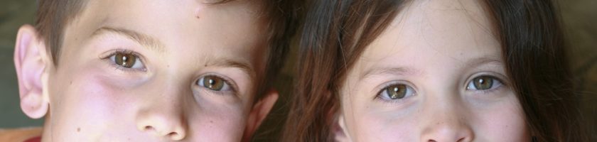 2 brown haired kids looking at camera - brother and sister